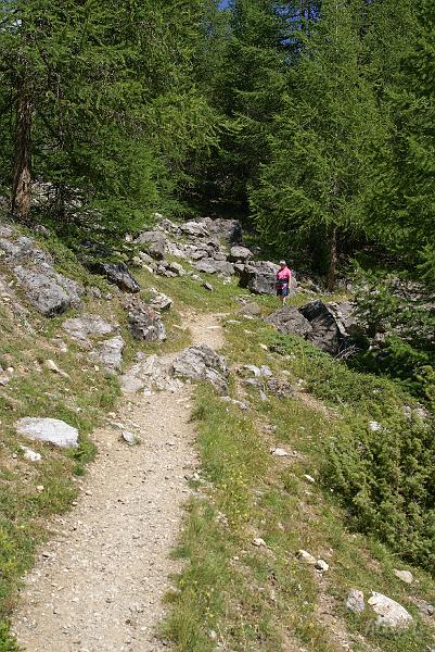 DSC03303.jpg