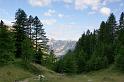DSC03350