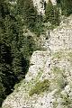 DSC00464