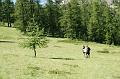 DSC00559