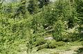 DSC00586