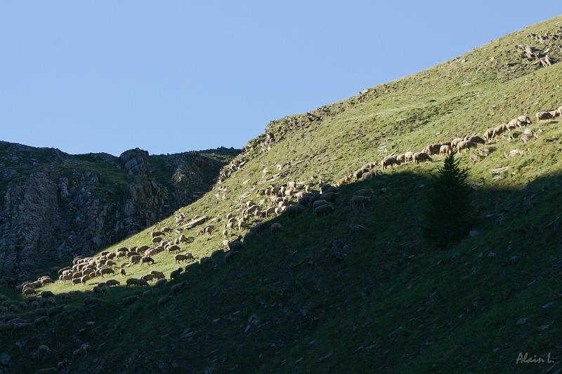 DSC00804.JPG