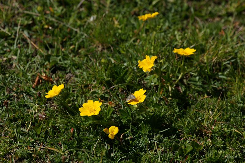 DSC00888.JPG