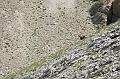 DSC00901