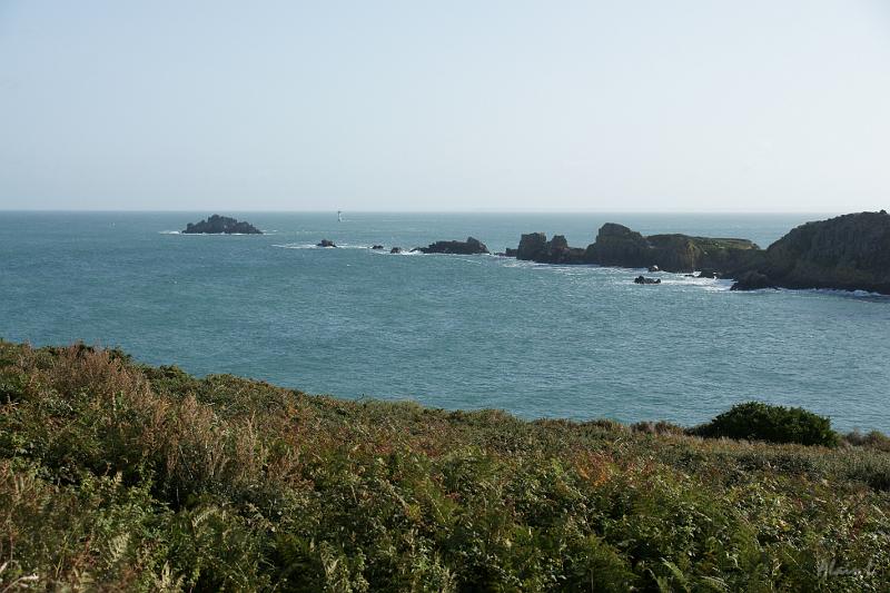 DSC01470.JPG - L'île des Landes est une réserve ornithologique