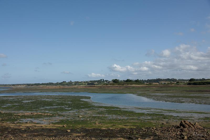DSC01532.JPG