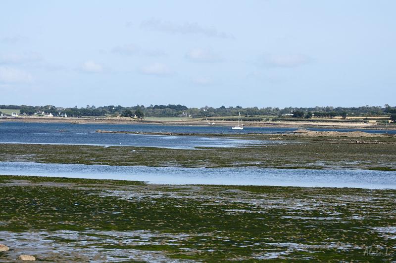 DSC01533.JPG