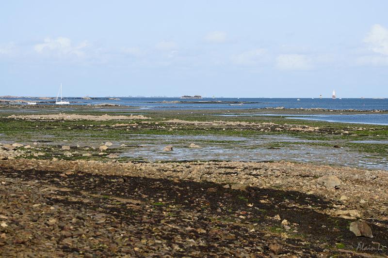 DSC01535.JPG