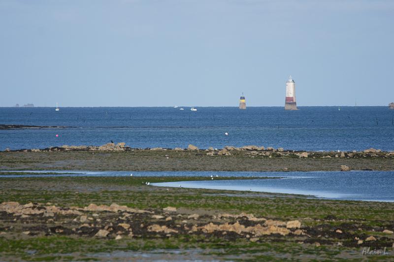 DSC01539.JPG