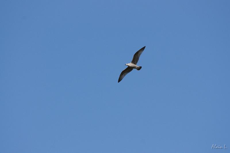 DSC01558.JPG