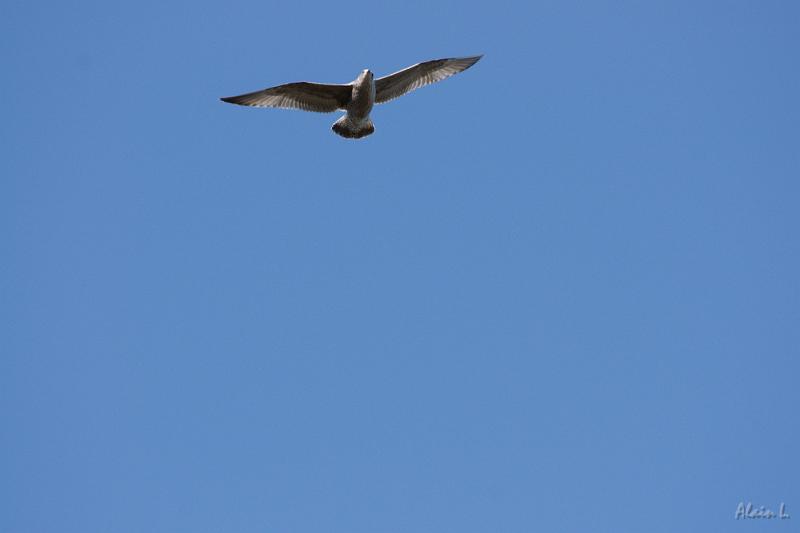 DSC01559.JPG