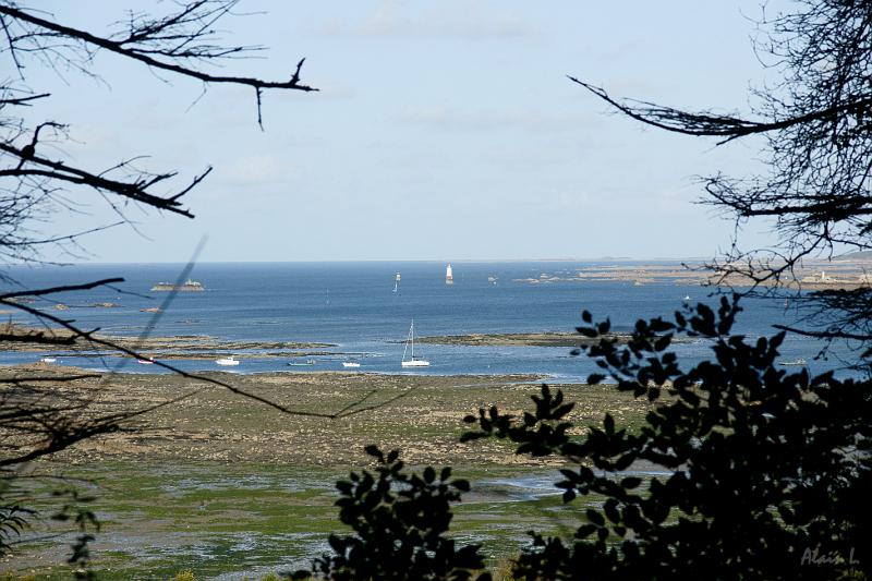 DSC01562.JPG