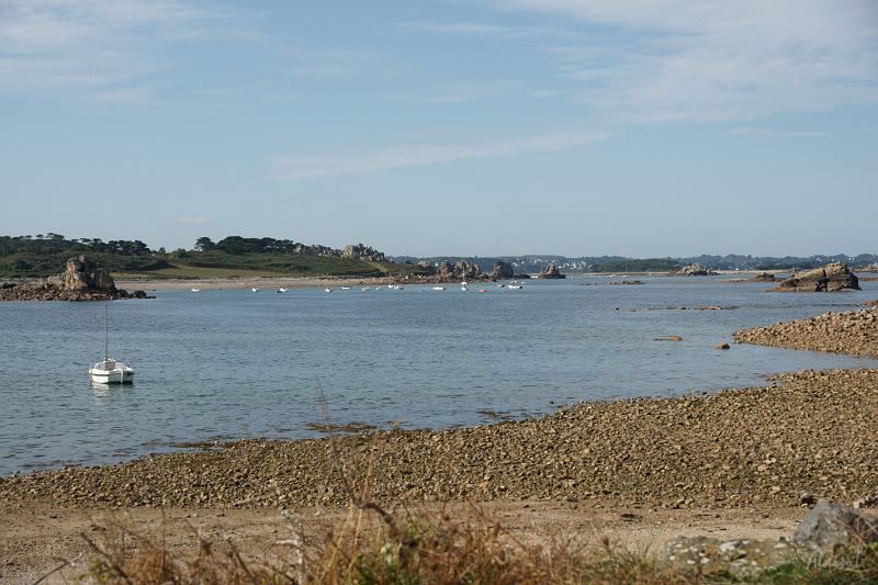 DSC01584.JPG