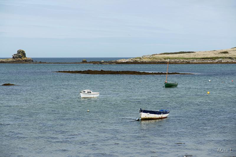 DSC01607.JPG