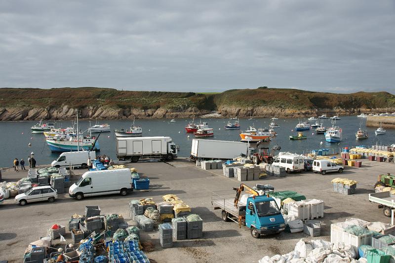 DSC01617.JPG - Grosse activité au port de pèche.