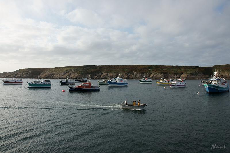 DSC01636.JPG - Ce petit bateau a été cherché un équipage qui vient d'immobiliser son chalutier à une bouée au milieu du port.