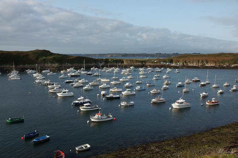 DSC01646.JPG - Le port de plaisance