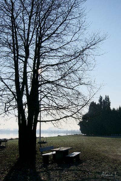 P1040117.JPG
