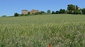 P1450019