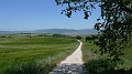 P1450021