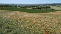 P1450037