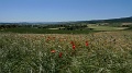 P1450039