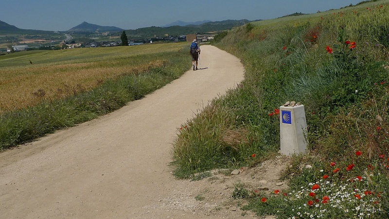 P1460016.JPG