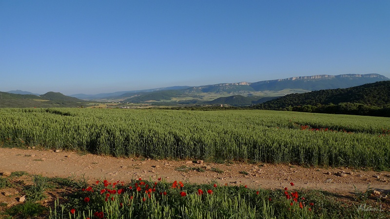 P1470011.JPG