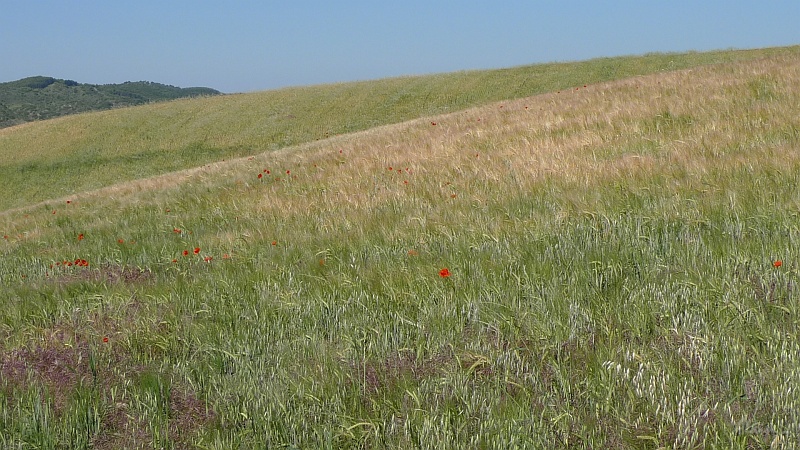 P1470020.JPG