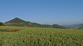 P1470010