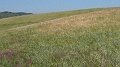 P1470020