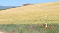 P1470026