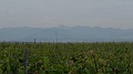 P1490008