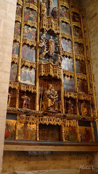 P1500035.JPG