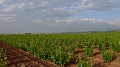 P1500003