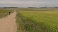 P1550015