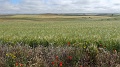 P1560010