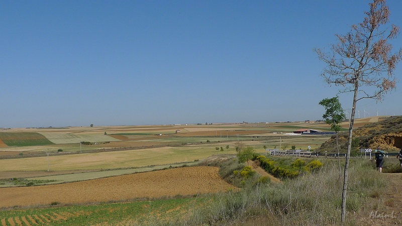 P1570007.JPG