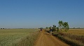 P1570004
