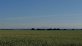 P1570005