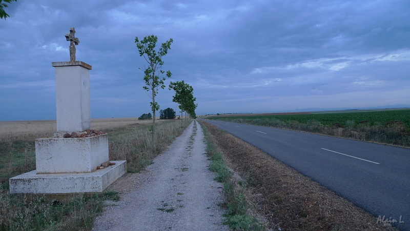 P1590002.JPG - Le Chemin double la chaussée. Les quelques arbustes qui le longent feront un jour une ombre bienfaissante