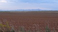 P1590003