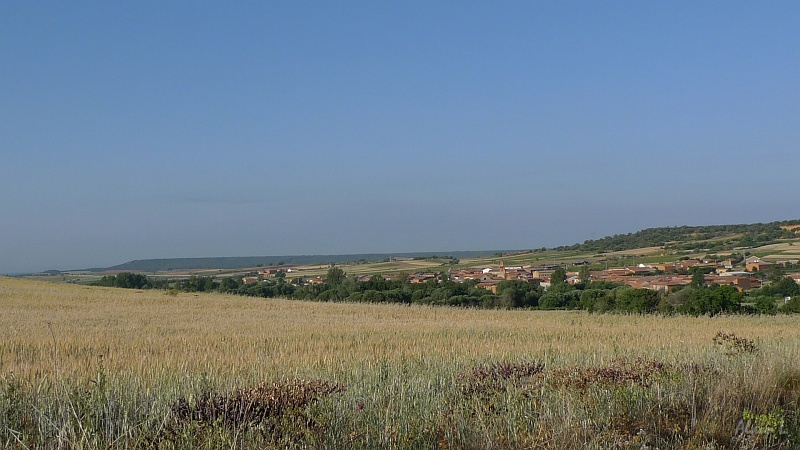 P1620010.JPG