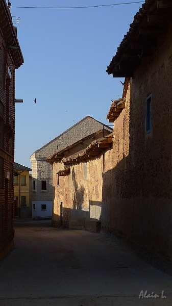 P1620012.JPG