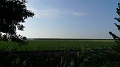 P1620009