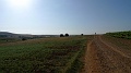 P1620013