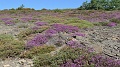 P1630013