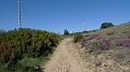 P1630015