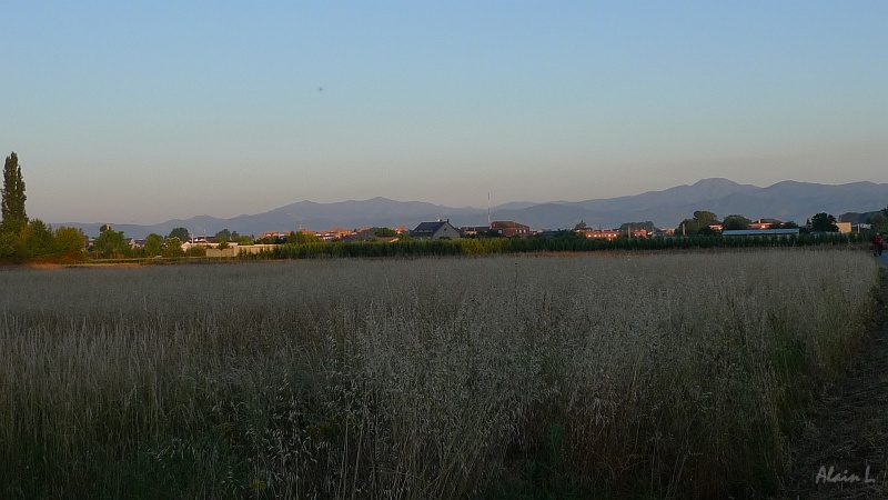 P1650004.JPG