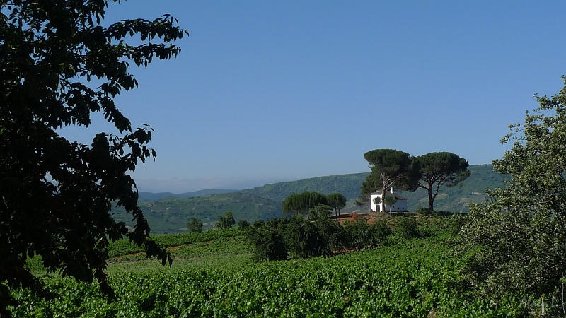 P1650015.JPG